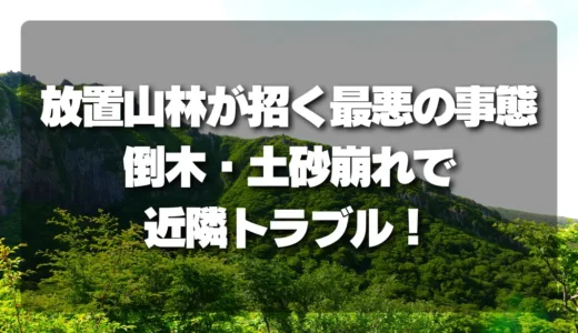 放置された山林が招く最悪の事態｜倒木・土砂崩れで近隣トラブル発生！
