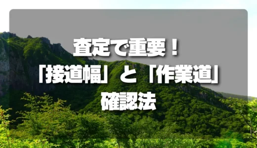 山林査定で重要！「接道幅」と「作業道」の確認方法を徹底解説