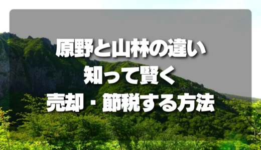 「原野」と「山林」の違いを知って賢く売却・節税する方法