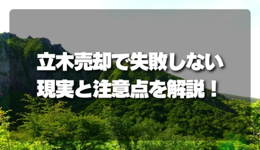 【知らないと損】山林の立木売却で失敗しないための現実と注意点