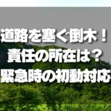 道路を塞ぐ山林の「倒木」！責任の所在は？緊急時の連絡先と取るべき初動対応を徹底解説