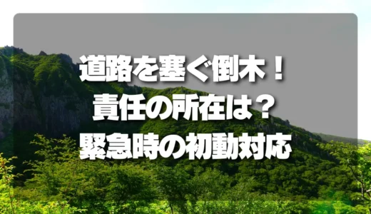 道路を塞ぐ山林の「倒木」！責任の所在は？緊急時の連絡先と取るべき初動対応を徹底解説