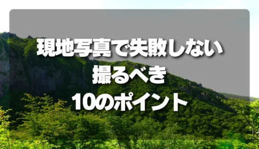 山林査定の現地写真で失敗しない！プロが教える「撮るべき10のポイント」