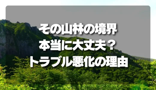 その山林の境界、本当に大丈夫？放置するほど悪化する「境界トラブル」のリアルな理由