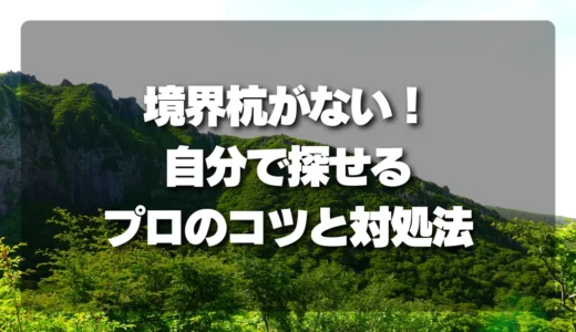 【発見率UP】山林の境界杭がない！自分で探せるプロのコツと対処法を徹底解説