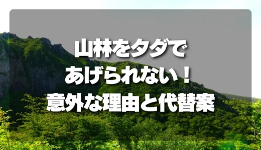 山林をタダであげたいのに！寄付を受け入れてもらえない意外な理由と、手放すための賢い代替案
