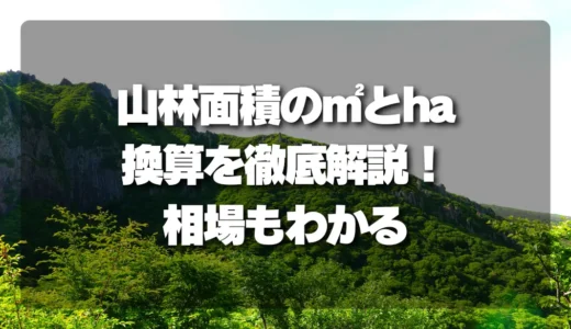 【知らないと損！】山林面積の「㎡」と「ha」換算を徹底解説！相場もわかる