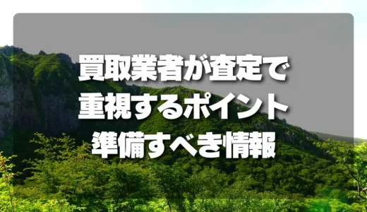 山林を高く売るなら必見！買取業者が査定で重視するポイントと準備すべき情報