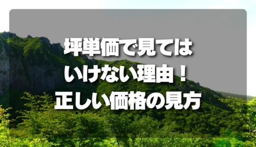 山林の価格相場、坪単価で見てはいけない理由とは？失敗しない価格の見方と購入判断のポイント