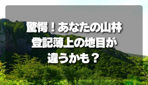 驚愕！あなたの山林、登記簿上の「地目」が違うかも？今すぐ確認すべき重要ポイント