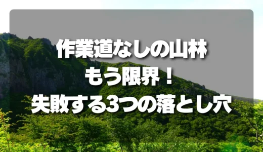 作業道なしの山林はもう限界！管理も売却も失敗する３つの落とし穴