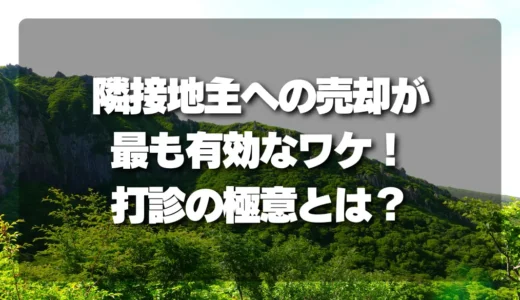 【山林売却】隣接地主に売るのが一番有効なワケとは？打診の極意と失敗しないための注意点