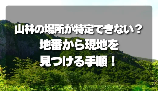 【完全ガイド】山林の場所が特定できない？地番から現地を見つけるためのおすすめ手順