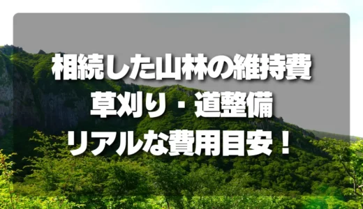 相続した山林、維持費はいくら？草刈り・道整備・見回りのリアルな費用目安を公開！