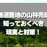 アクセスできない山林（無道路地）の売却｜知っておくべき現実と対策