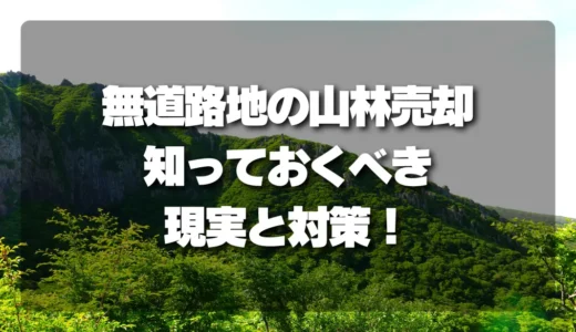 アクセスできない山林（無道路地）の売却｜知っておくべき現実と対策