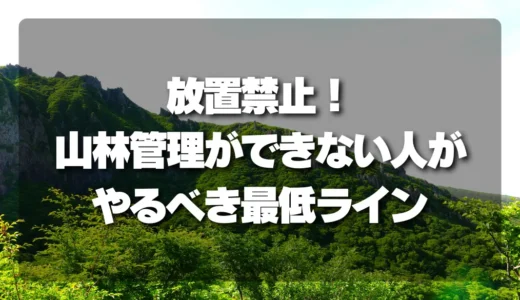 放置禁止！山林管理ができない人が「これだけはやるべき」最低ラインとは？