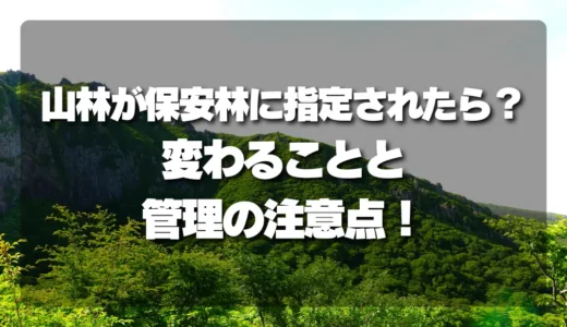 【知らないと損】あなたの山林が「保安林」に指定されたら？変わることと管理で絶対注意すべき点