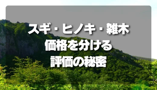 【知らないと損】山林の価格を分ける！スギ・ヒノキ・雑木の評価と相場の秘密