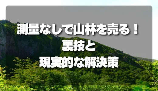 測量なしで山林を売る！売却を実現する裏技と現実的な解決策