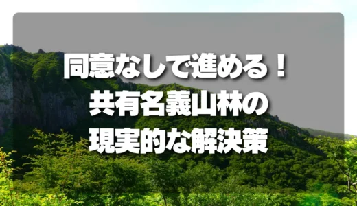 共有名義の山林を売却したい！同意なしで進める現実的な解決策
