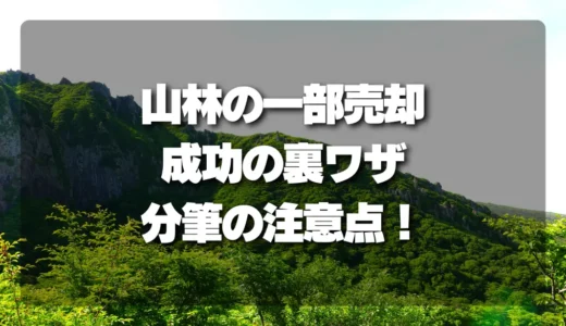 山林の一部売却を成功させる！分筆の裏ワザと絶対知るべき注意点