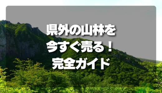 【現地不要】県外の山林を今すぐ売る！完全ガイドと手順