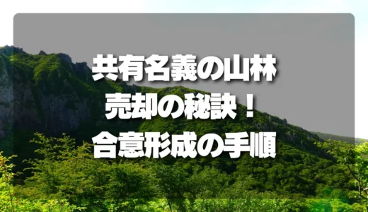 山林を「共有名義」で売却する秘訣！合意形成のリアルな手順と成功事例