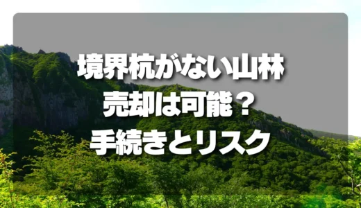 【重要】境界杭がない山林の売却は可能？確認すべき手続きとリスクを徹底解説