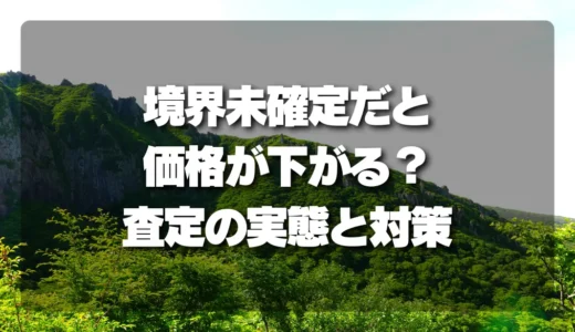 山林の売却で損するな！境界未確定だと価格が下がる？査定のリアルと対策を解説