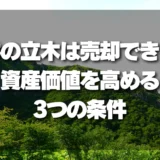 【知らないと損】山林の「立木」は売却できる？資産価値を高める3つの条件