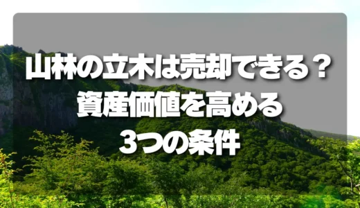 【知らないと損】山林の「立木」は売却できる？資産価値を高める3つの条件