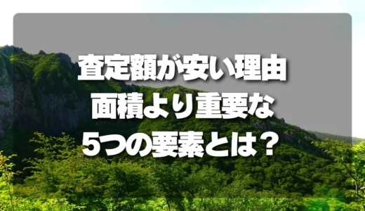 山林の査定額が安いのはなぜ？面積より重要な「5つの要素」と高額査定を引き出す秘訣！