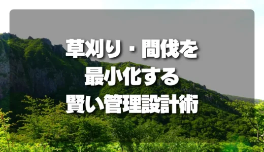 放置しても荒れない！山林の「草刈り・間伐を最小化」する賢い管理設計術