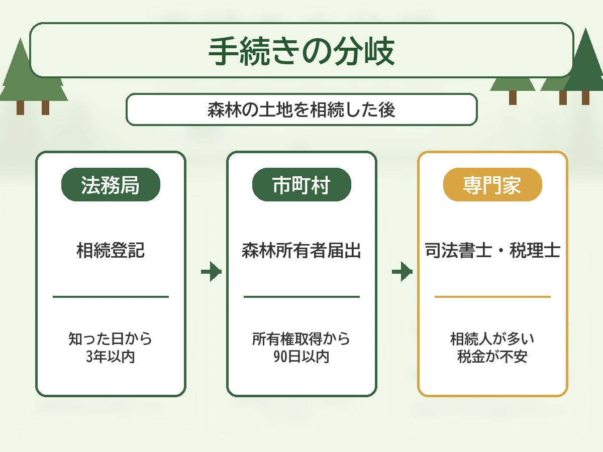 山林相続後の相続登記、森林所有者届出、専門家相談の分岐図