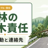 山林の倒木責任は誰にある？道路を塞いだ時の初動と連絡先