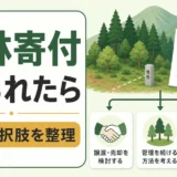 山林寄付を断られた後の選択肢を整理するサムネイル