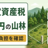 山林の固定資産税がゼロでも残る負担と確認ポイント