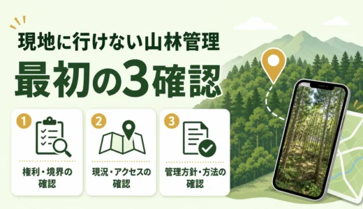 現地に行けない山林管理は何から始める？遠隔確認と委託の進め方
