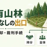 共有名義の山林を同意なしで売る範囲と現実的な出口を示す解説画像