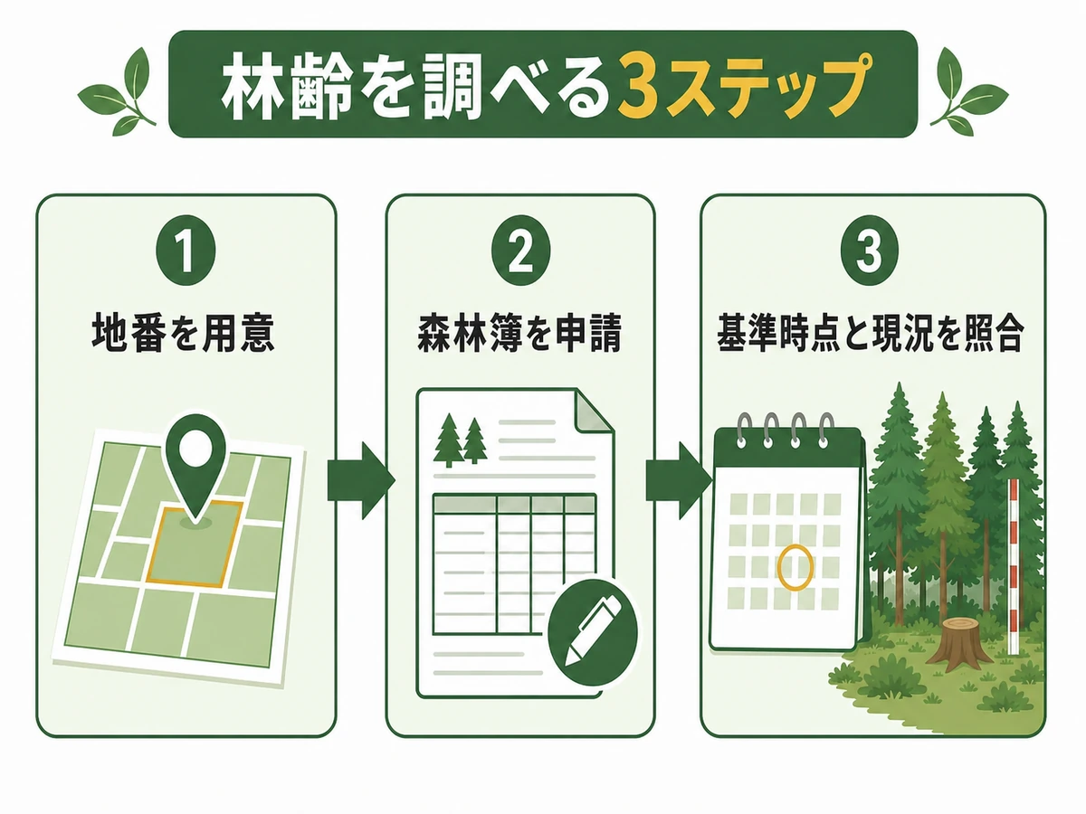地番の準備から森林簿の申請、基準時点と現況の照合までを示す流れ