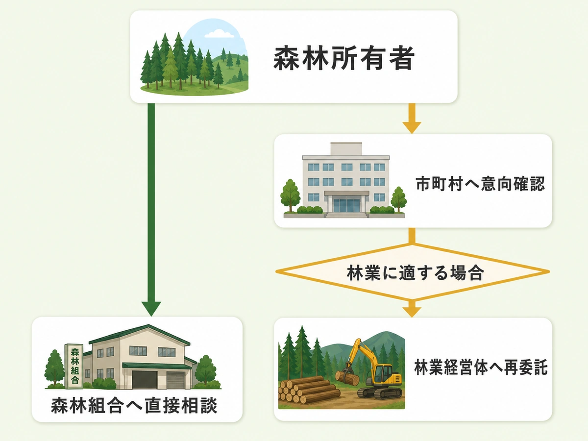 森林組合への直接委託と市町村を介する森林経営管理制度の流れを比べる図