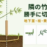 境界線を越える竹の地下茎と枝を前に、勝手に切れる条件と費用を確認するサムネイル