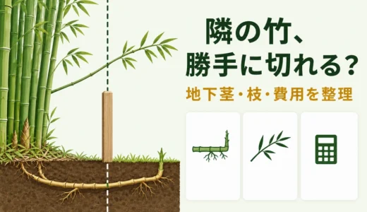 隣の竹林が侵食したら？勝手に切れる条件・費用負担と対応順