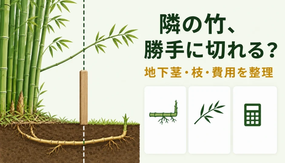 境界線を越える竹の地下茎と枝を前に、勝手に切れる条件と費用を確認するサムネイル