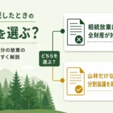 相続放棄と遺産分割の確認ポイントを示す図