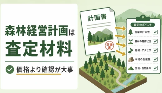 森林経営計画は山林査定に影響する？価格評価と売却前チェック