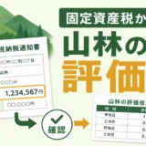 固定資産税から山林の評価額を確認する流れを示す図