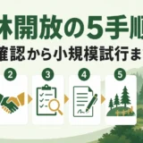 山林を教育・体験の場として開放する5手順