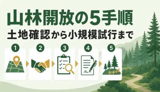 山林を教育・体験の場として開放する5手順｜学校・企業連携の注意点